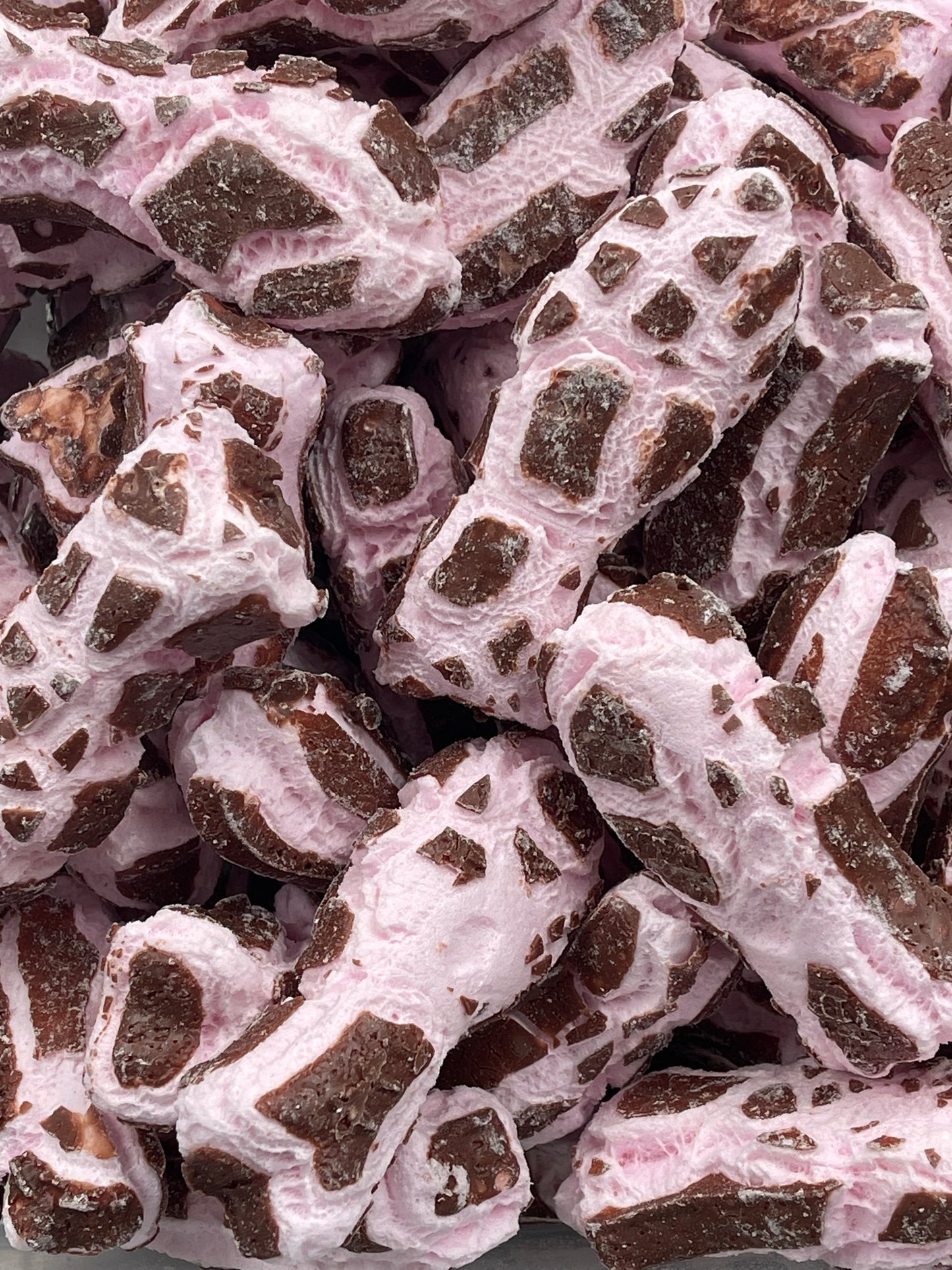 Freeze Dried Baby Chocolate Fish 55g