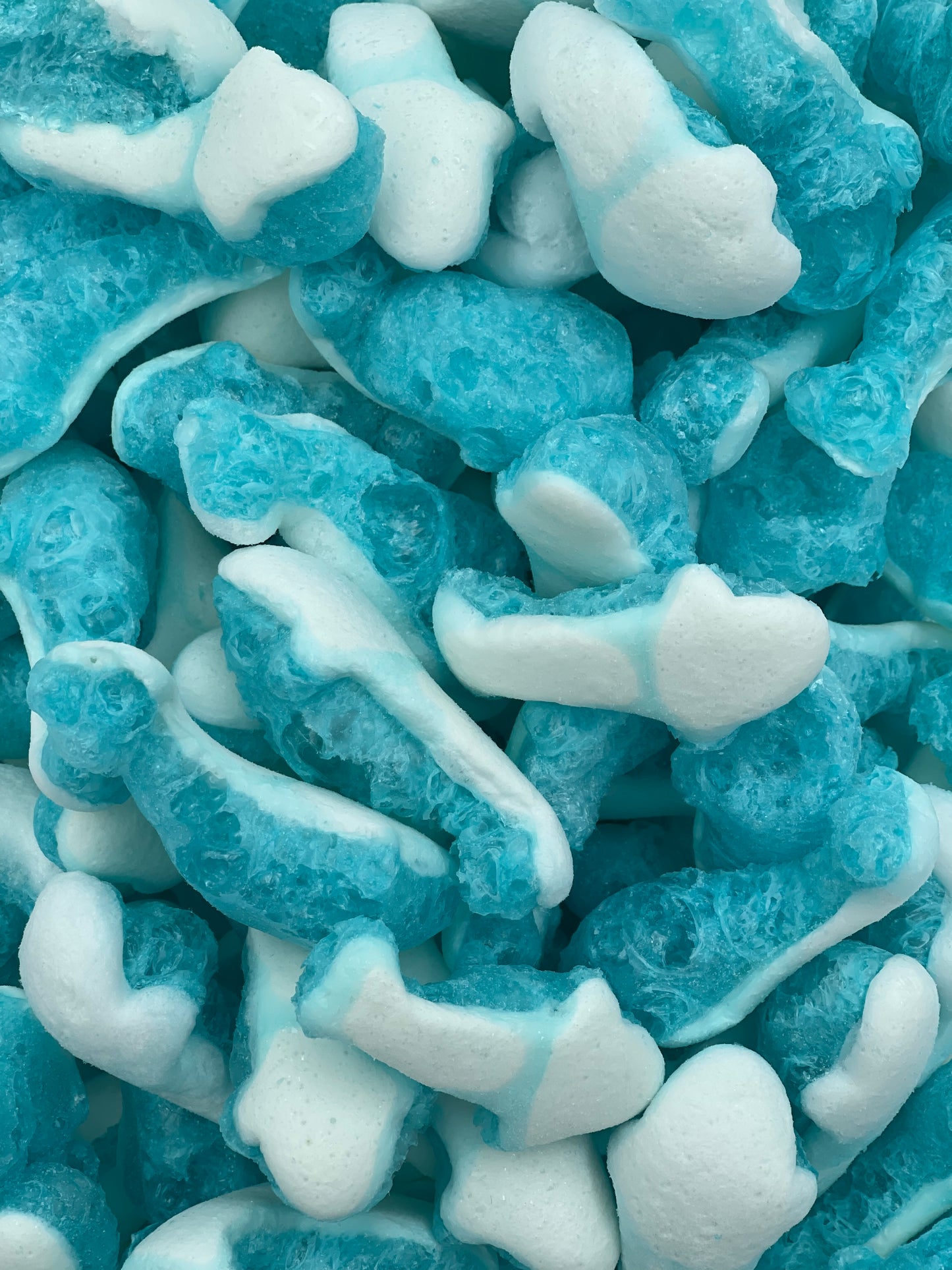 Freeze Dried Blue Sharks 65g
