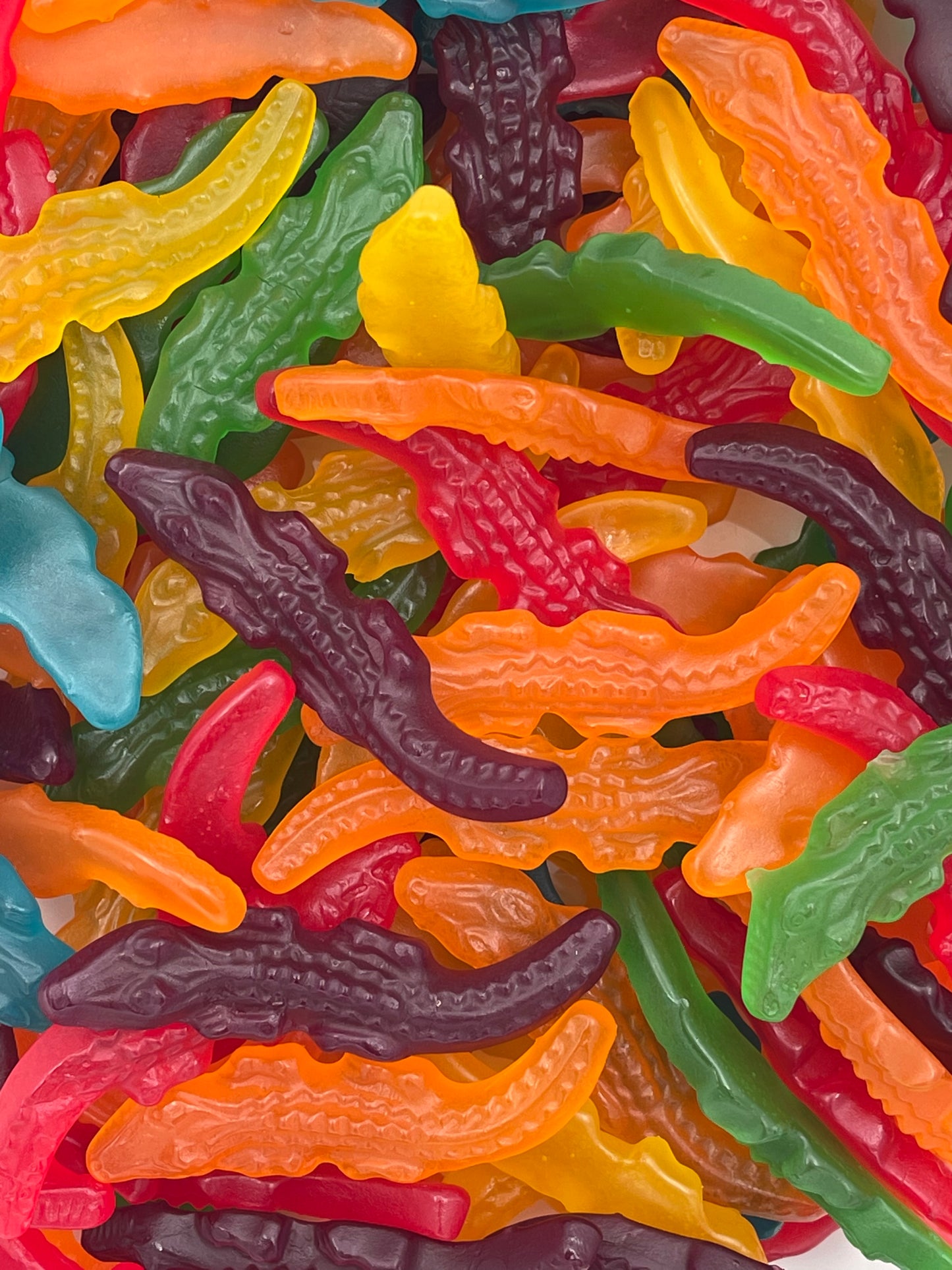 Mayceys Crocodiles