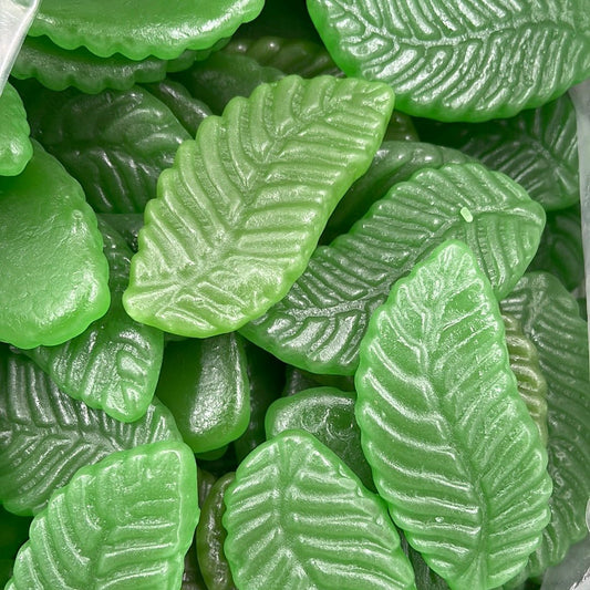 Mayceys Spearmint Leaves